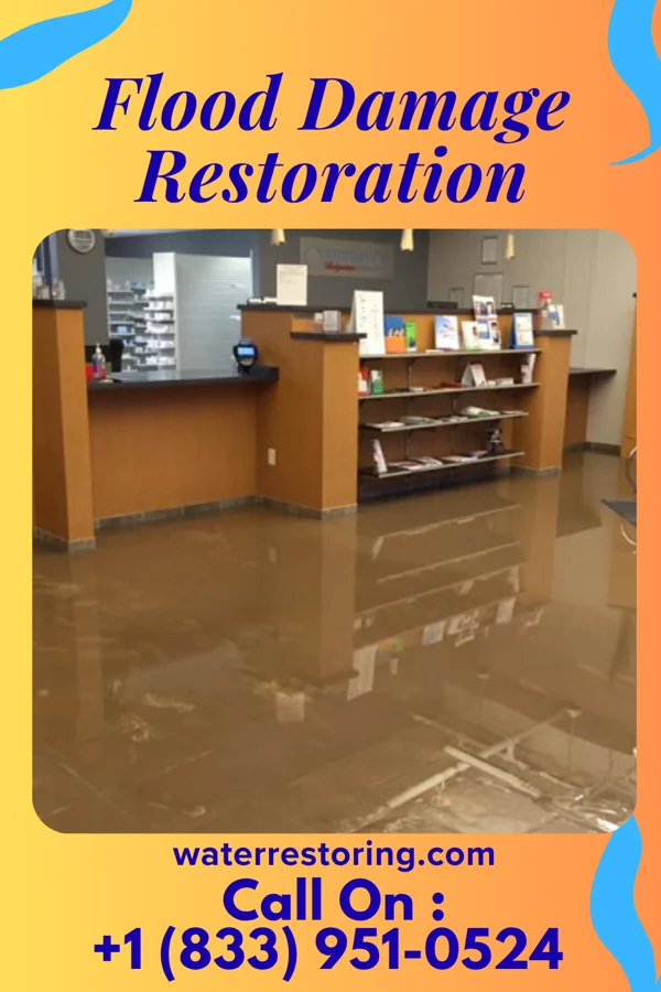 Flood Damage Restoration in Whitsett, NC